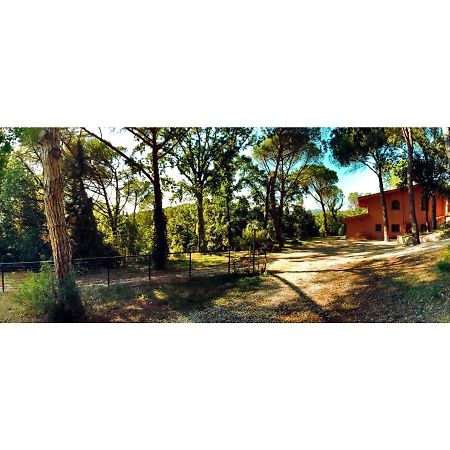 Agriturismo Poggio Al Pino Montelupo Fiorentino Bagian luar foto