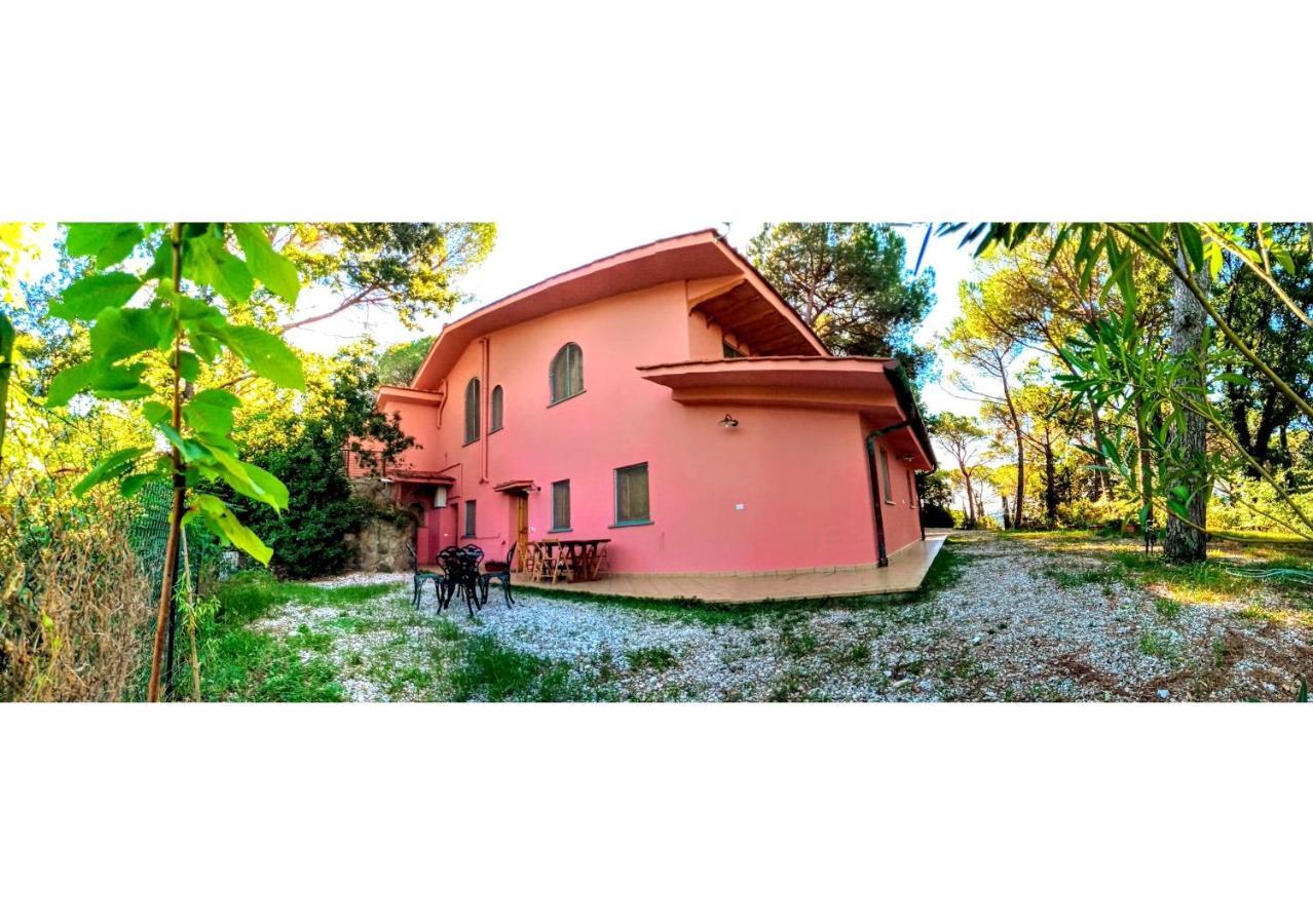 Agriturismo Poggio Al Pino Montelupo Fiorentino Bagian luar foto