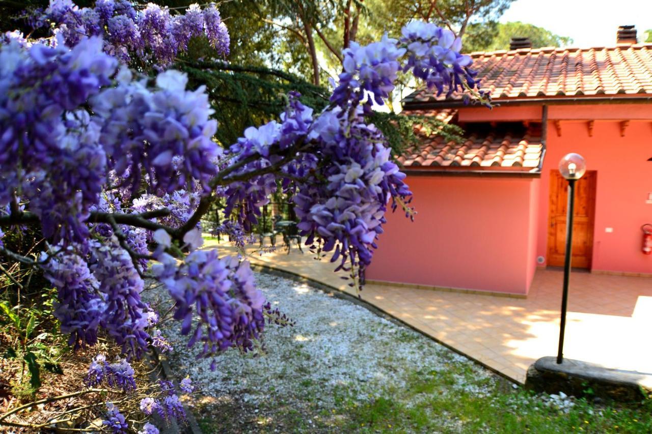 Agriturismo Poggio Al Pino Montelupo Fiorentino Bagian luar foto